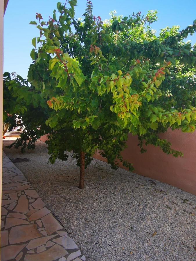 Gites Avec Grande Piscine Et Sa Terrasse Privative Bernis Kültér fotó