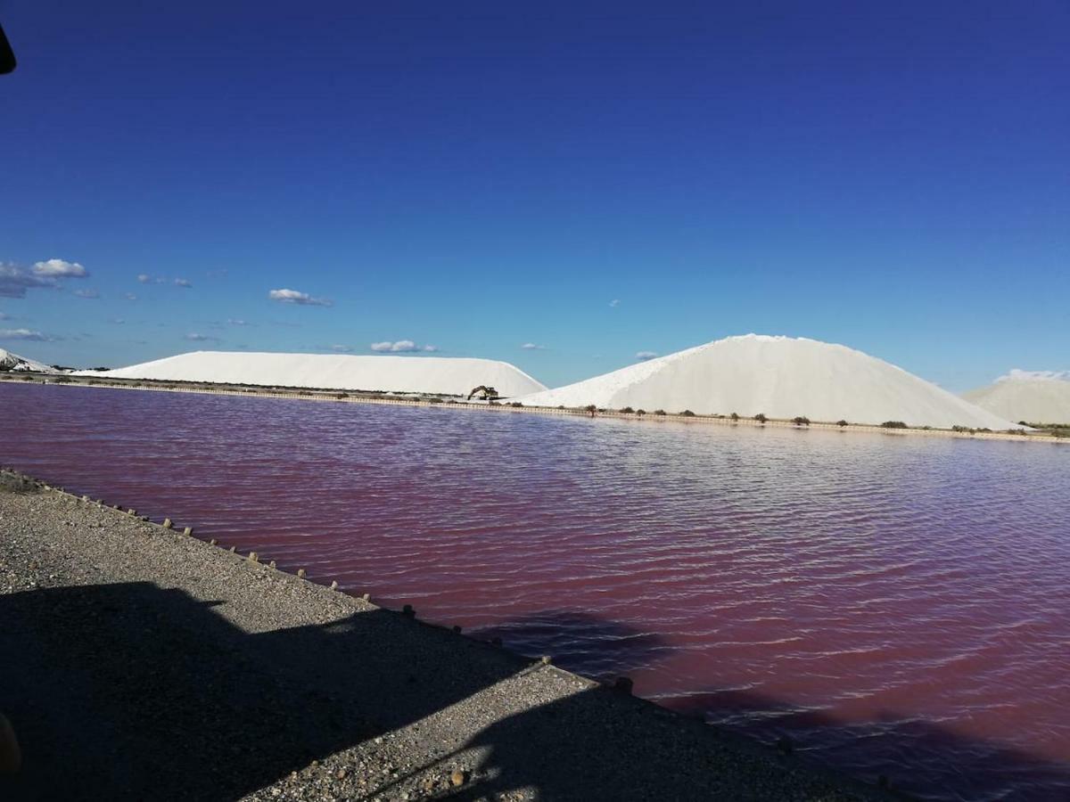 Gites Avec Grande Piscine Et Sa Terrasse Privative Bernis Kültér fotó